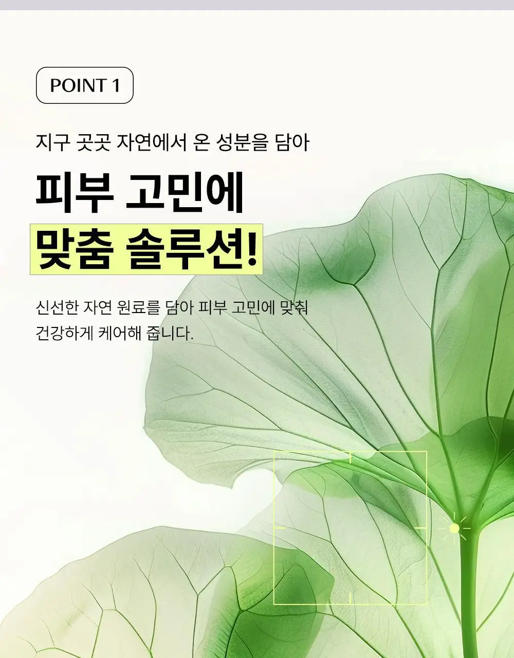 [1+1] 더샘 내추럴 마스크팩 1매 (병풀/오이/쌀/아보카도/티트리 5종 택 1) 상세페이지 7
